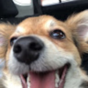 Meet your Posher, Kevin